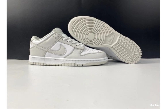 Dust" Nike Low DD1503-103 "Photon Dunk 1107